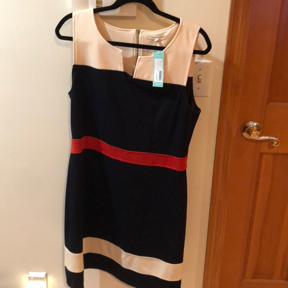 Sleeveless Navy blue professional dress.